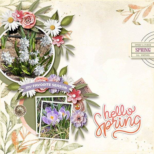 Spring.jpg