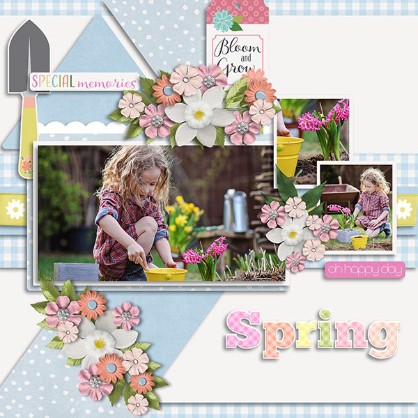 Spring.jpg