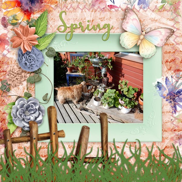 Spring.jpg