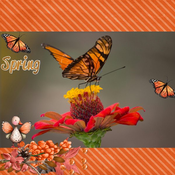 Spring.jpg