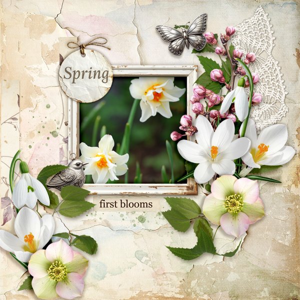 Spring.jpg