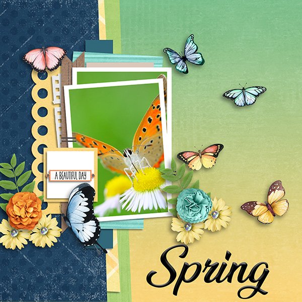 Spring.jpg