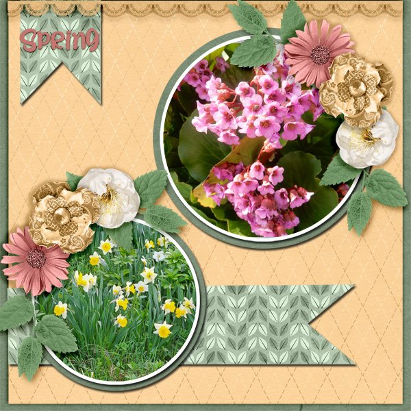Spring.jpg