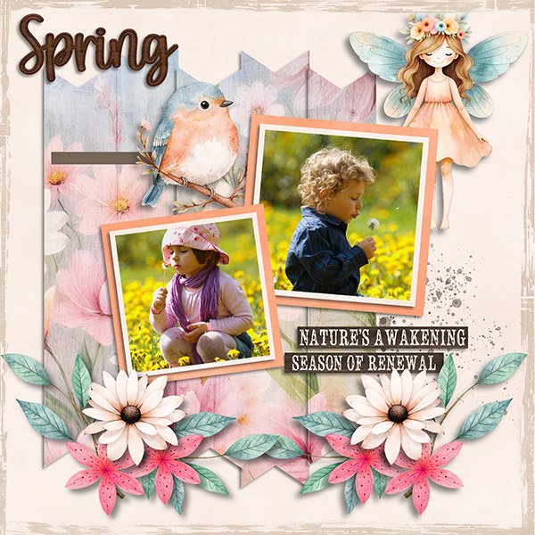 Spring.jpg