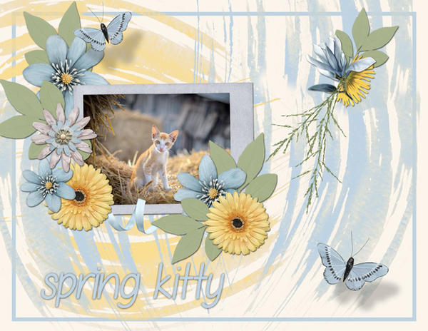 spring kitty