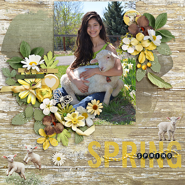 Spring lamb