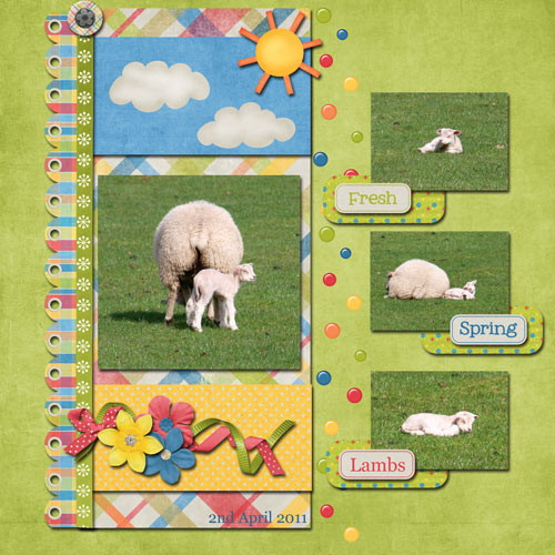 Spring Lambs