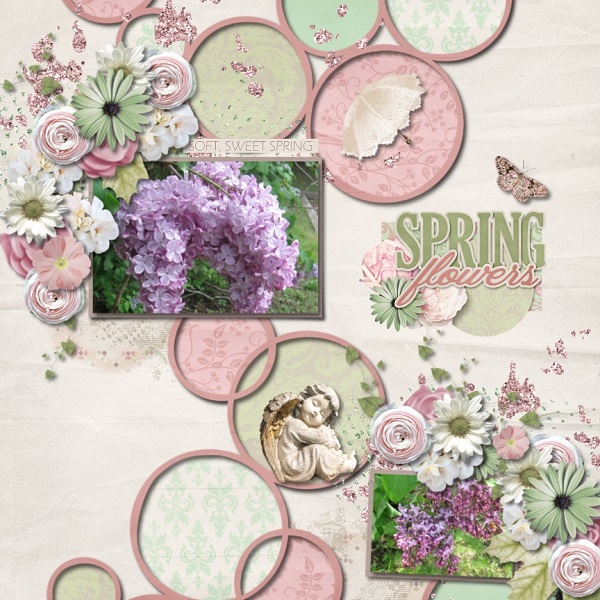 Spring Lilacs
