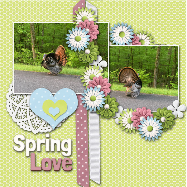 Spring Love