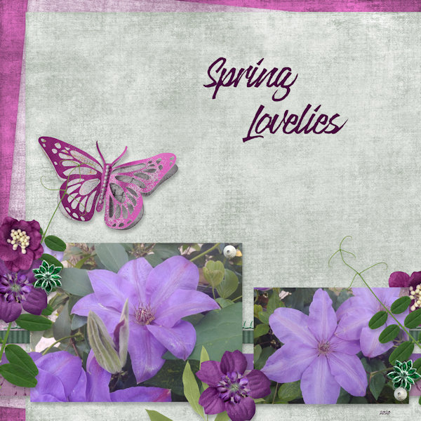 Spring Lovelies