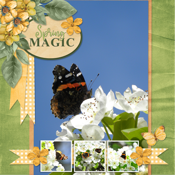 Spring MAGIC
