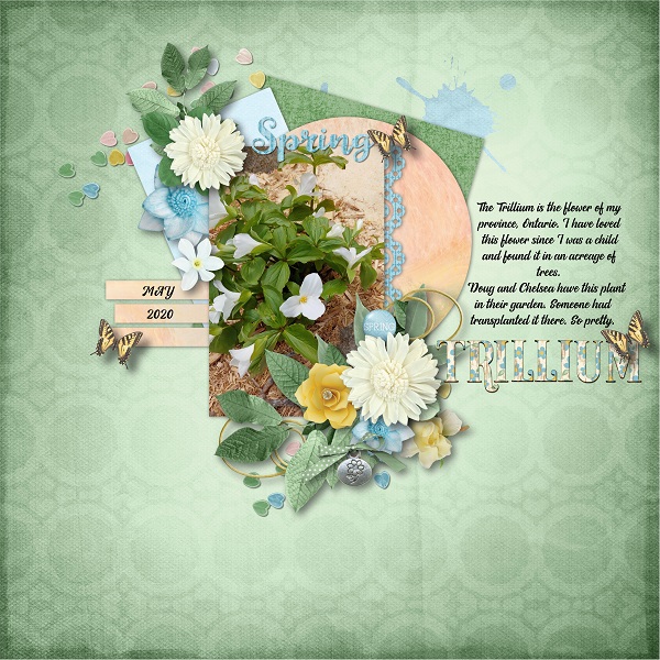 Spring May 2020