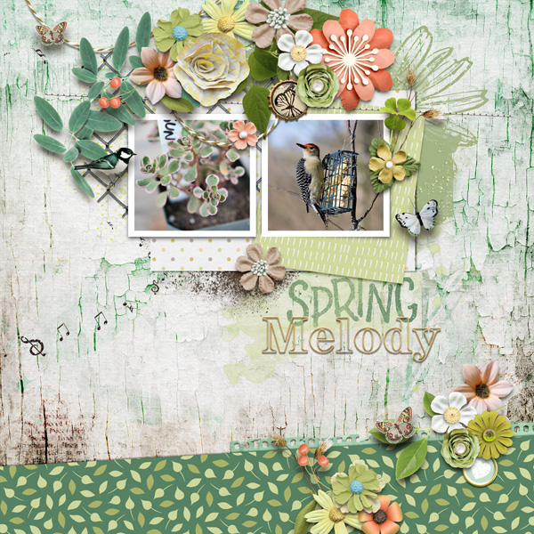 Spring Melody