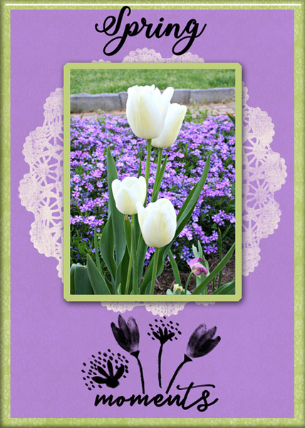 Spring Moments