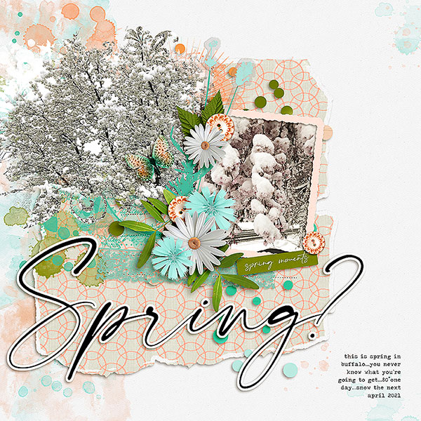 Spring Moments