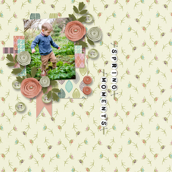 Spring Moments