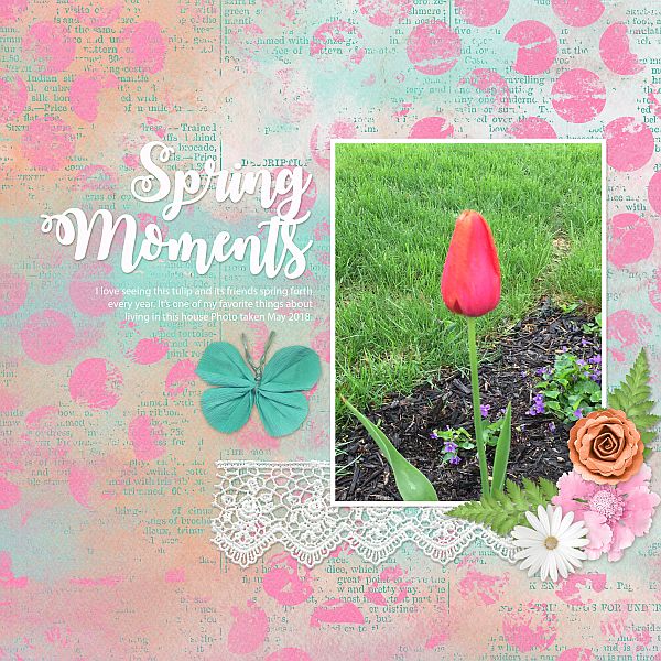 Spring Moments