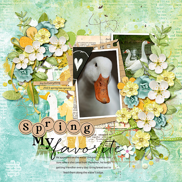 Spring, My Favorite
