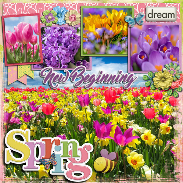 Spring-New Beginning