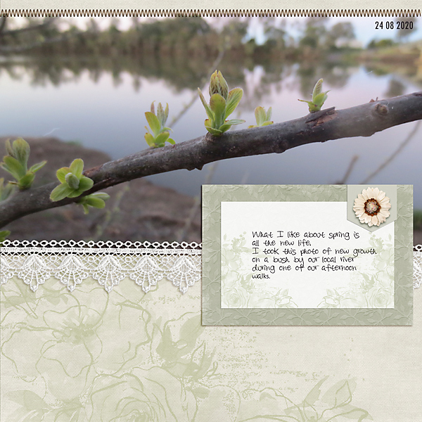 Spring - New Growth