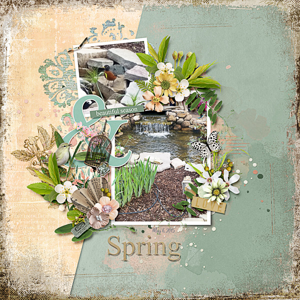 Spring of 2015