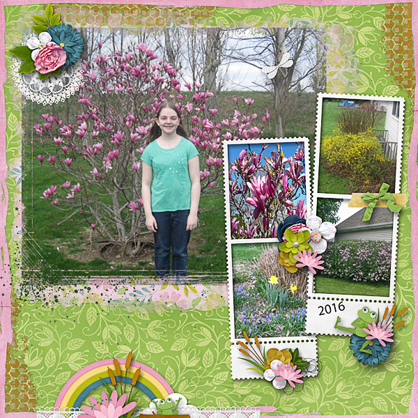 Spring of 2016