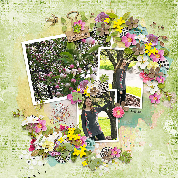 Spring of 2019