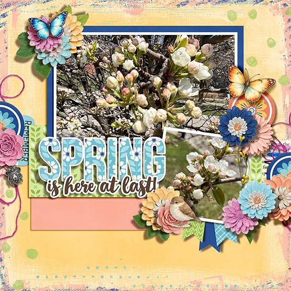 Spring of 2025