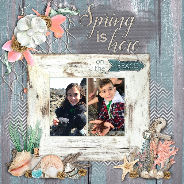Spring on the Beach