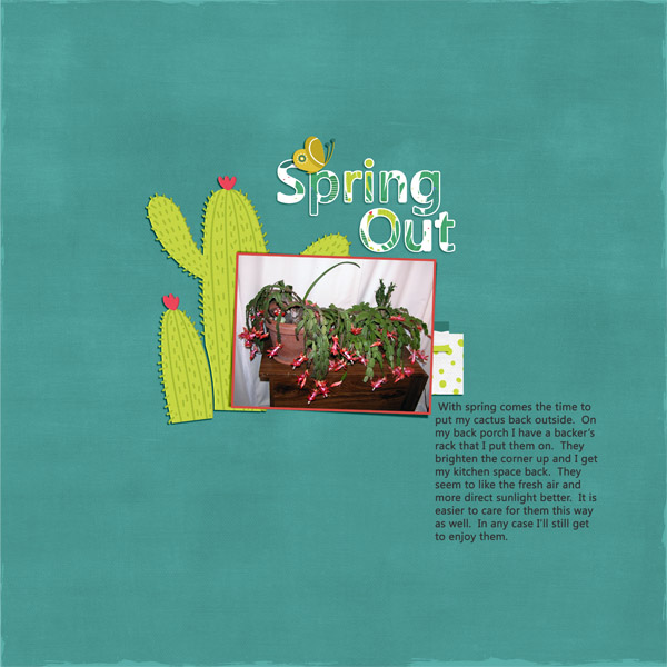 Spring Out Cactus