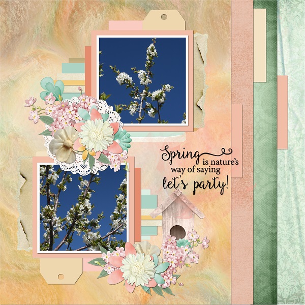 Spring Party