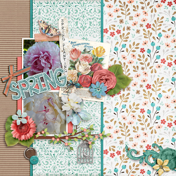 Spring Peonies