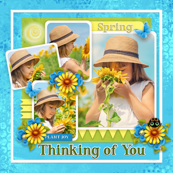 Spring Photo