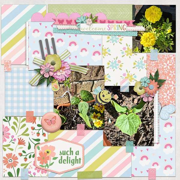 Spring planting