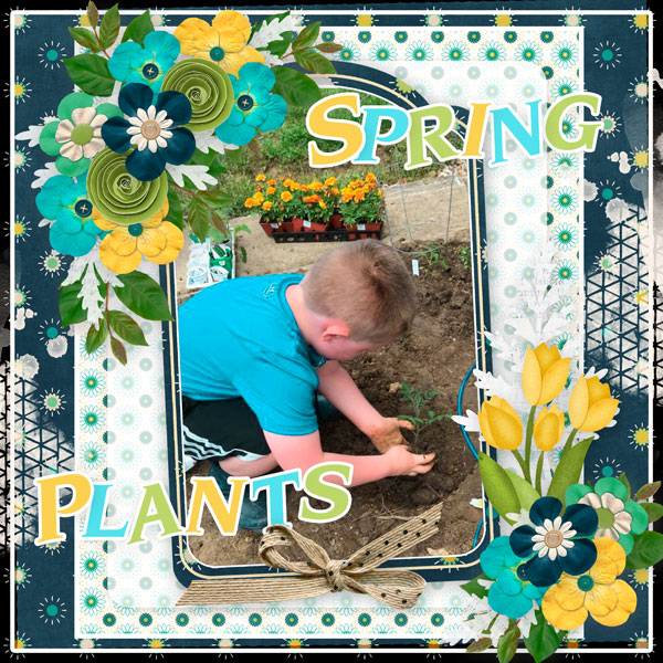 Spring Plants