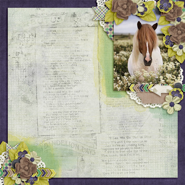 Spring Pony