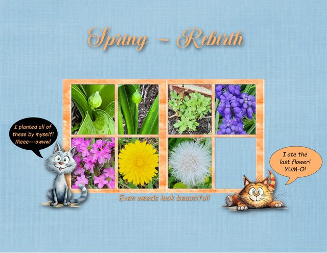 Spring Rebirth