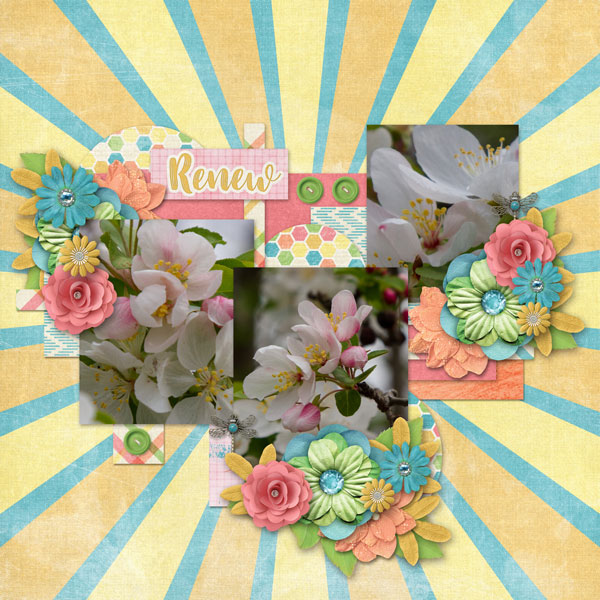 Spring Renew