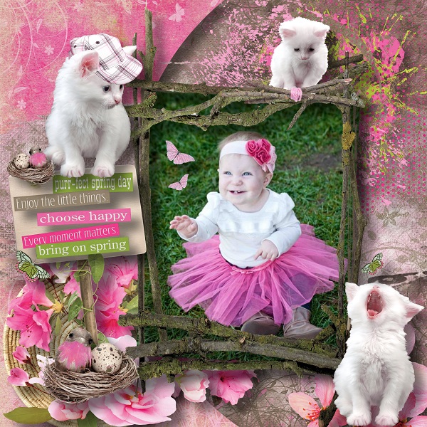 Spring Renewal