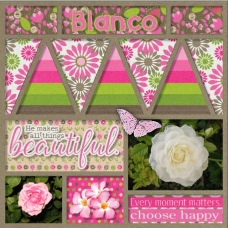 Spring Renewal