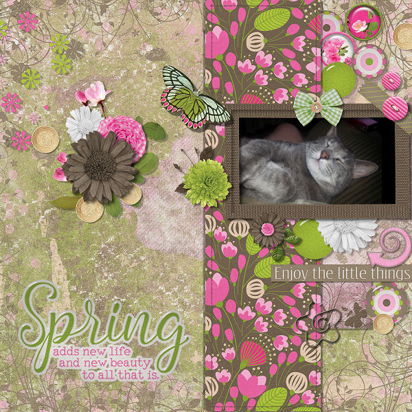 Spring Renewal