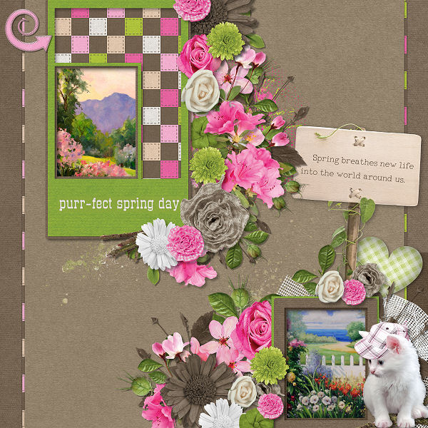 Spring Renewal