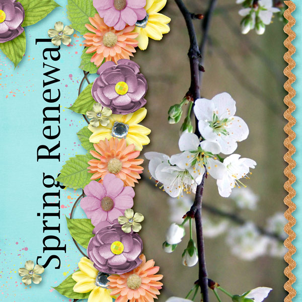 Spring Renewal