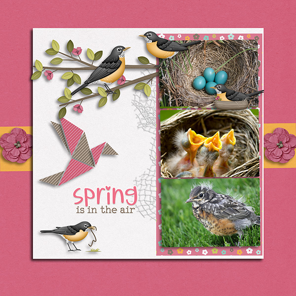 Spring Robbins
