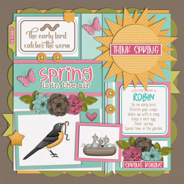 Spring Robins
