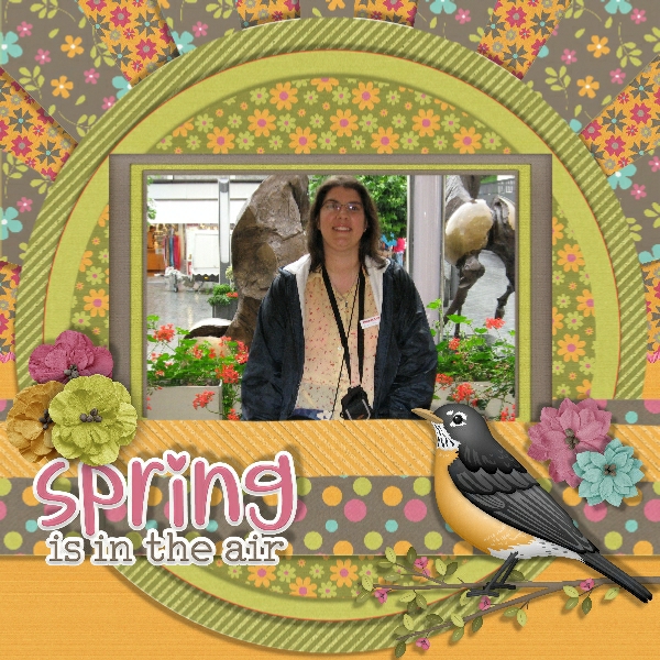 Spring Robins