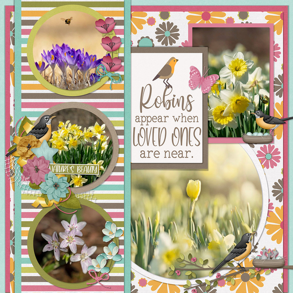 SPRING ROBINS