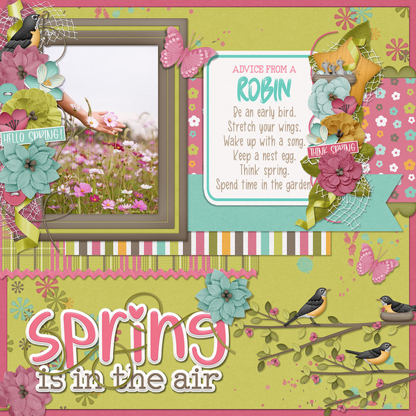 SPRING ROBINS