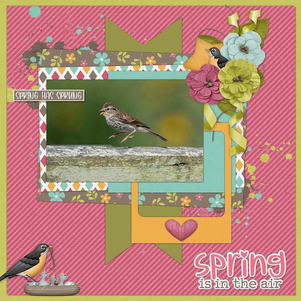 SPRING ROBINS