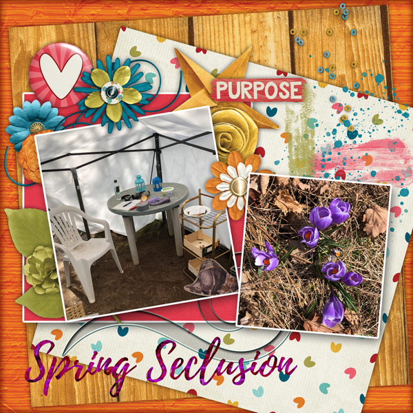 Spring Seclusion